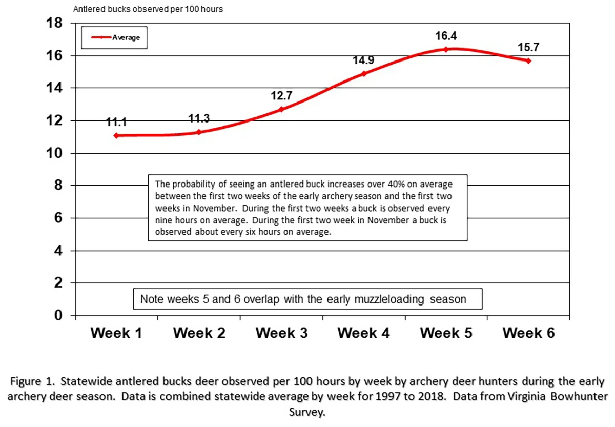 Line chart of antlered bucks seen per 100 hours by Virginia bowhunters, rising from 11.1 in the first week of the early archery season to 16.4 in week five and 15.7 in week six.